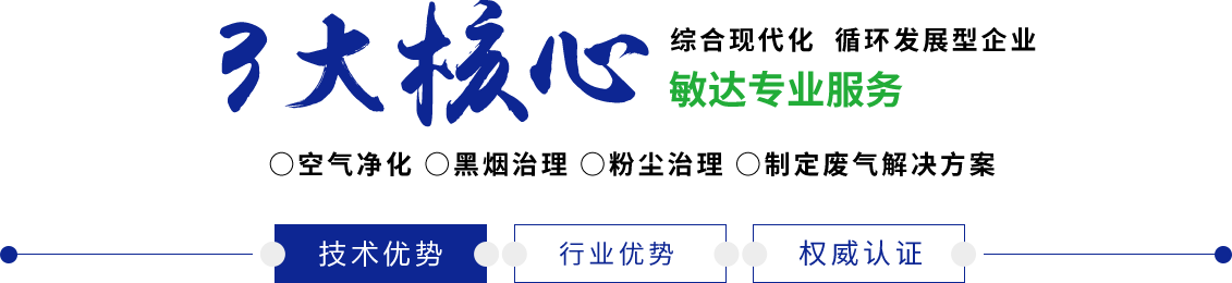 肏女人屄内射视频敏达环保科技（嘉兴）有限公司